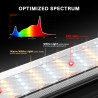 LED gaisma audzēšanai Spider Farmer SE7000