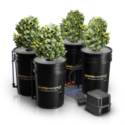 Hidroponiskā sistēma Mars Hydro DWC 4