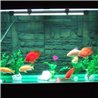33 LED ūdensnecaurlaidīgs apgaismojums akvārijiem 59 cm