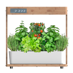 Hidroponiskais puķu pods Bentech CM05
