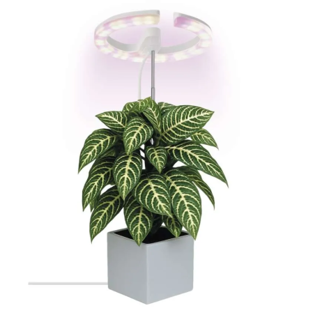 EMOS LED GROW lampa augu audzēšanai 8 W, taimeris, aptumšojama, balta