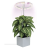 EMOS LED GROW lampa augu audzēšanai 8 W, taimeris, aptumšojama, balta