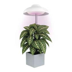 EMOS LED GROW lampa augu audzēšanai 5 W, taimeris, balta