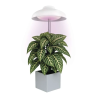 EMOS LED GROW lampa augu audzēšanai 5 W, taimeris, balta