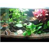 27 LED ūdensnecaurlaidīgs apgaismojums akvārijiem 49 cm