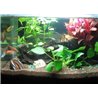 42 LED ūdensnecaurlaidīgs apgaismojums akvārijiem 78 cm