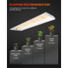 LED gaisma audzēšanai Spider Farmer SF300