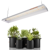 LED gaisma audzēšanai Spider Farmer SF300