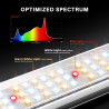 LED gaisma audzēšanai Spider Farmer SE3000