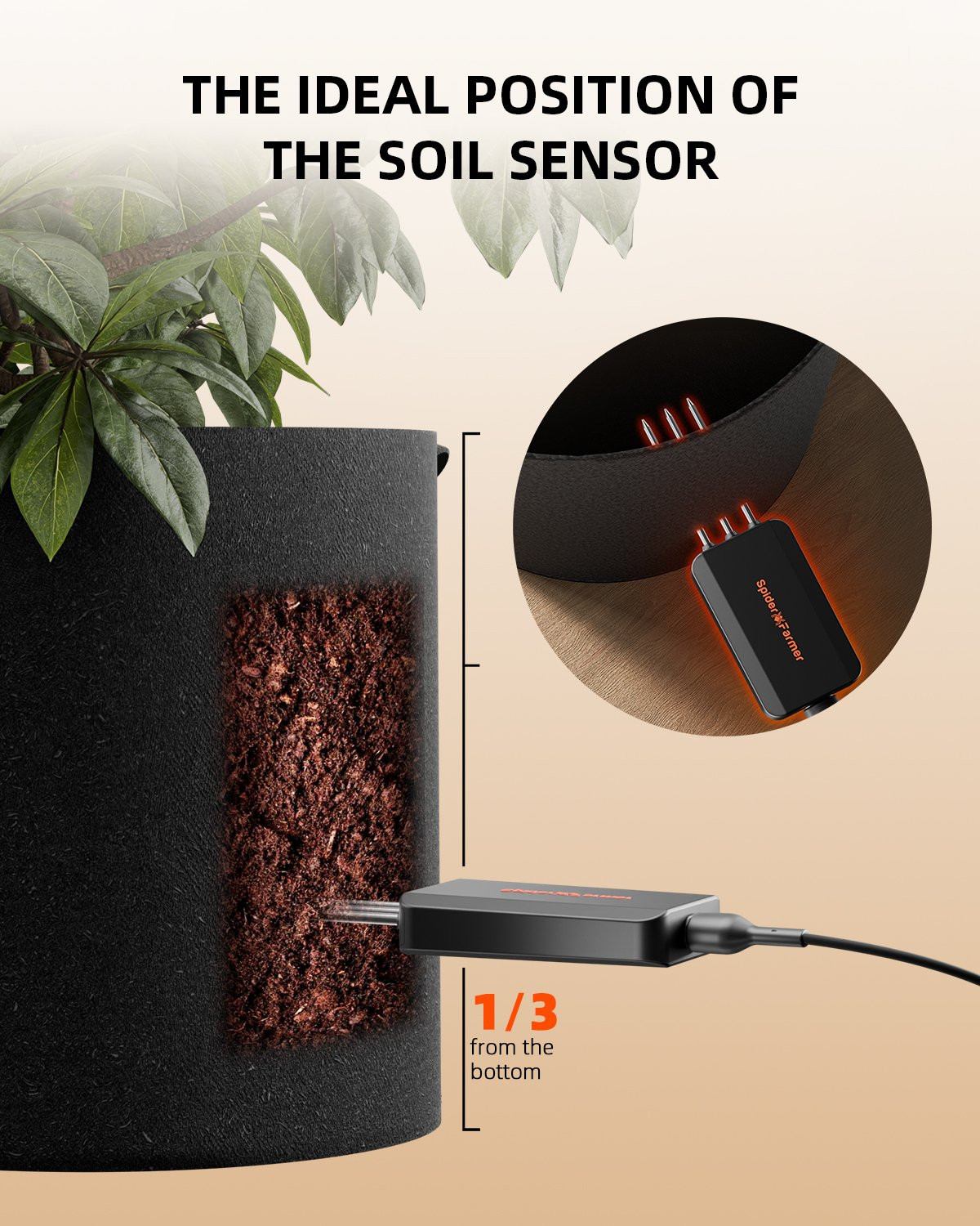 augsnes sensors